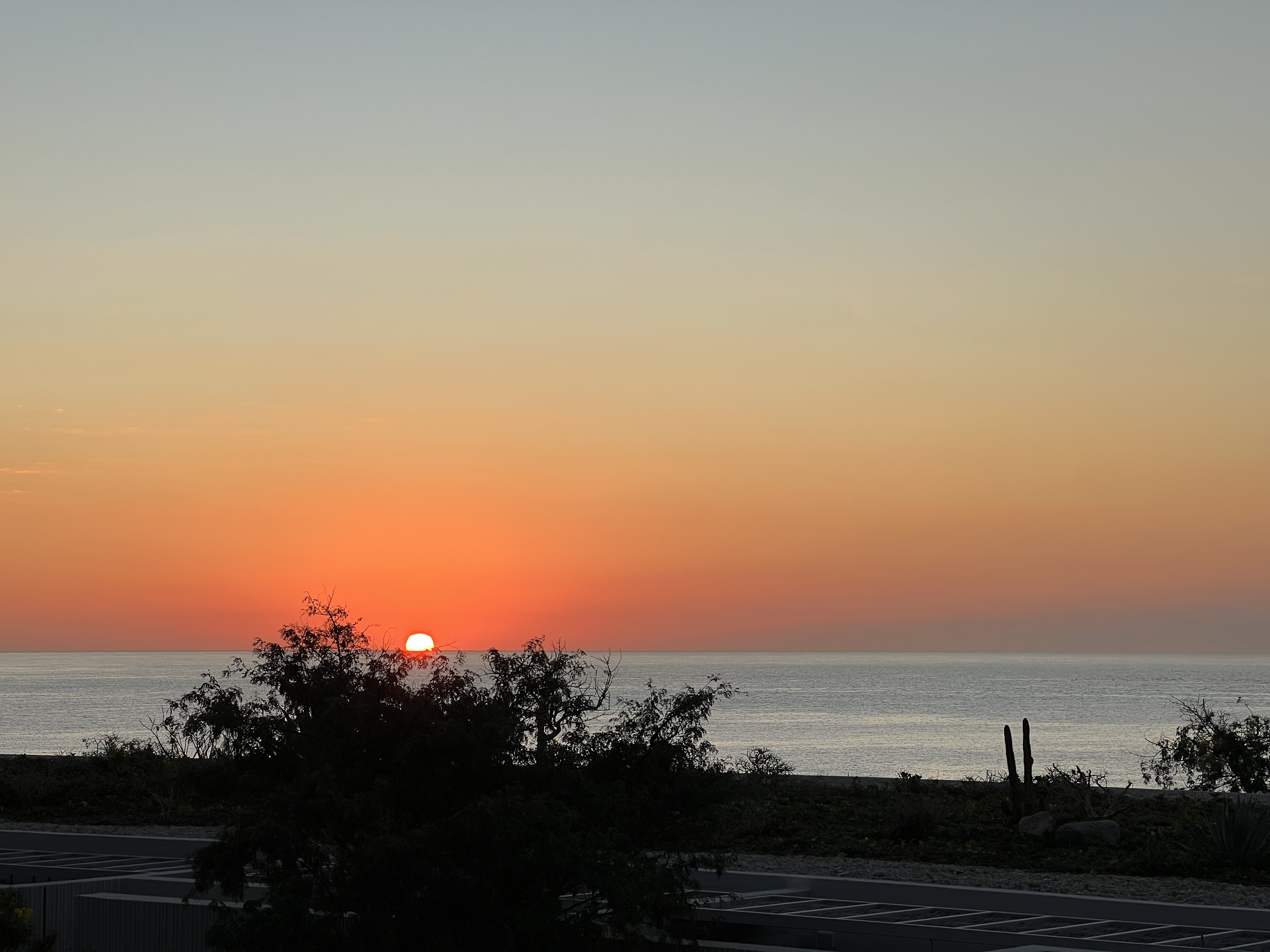 ./2024/13 - Cabo/IMG_4933.jpg